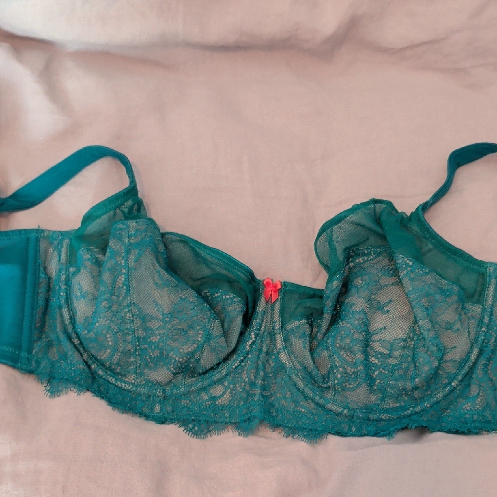 Cleo By Panache Teal Lace Underwire Bra Size 38E Discontinued